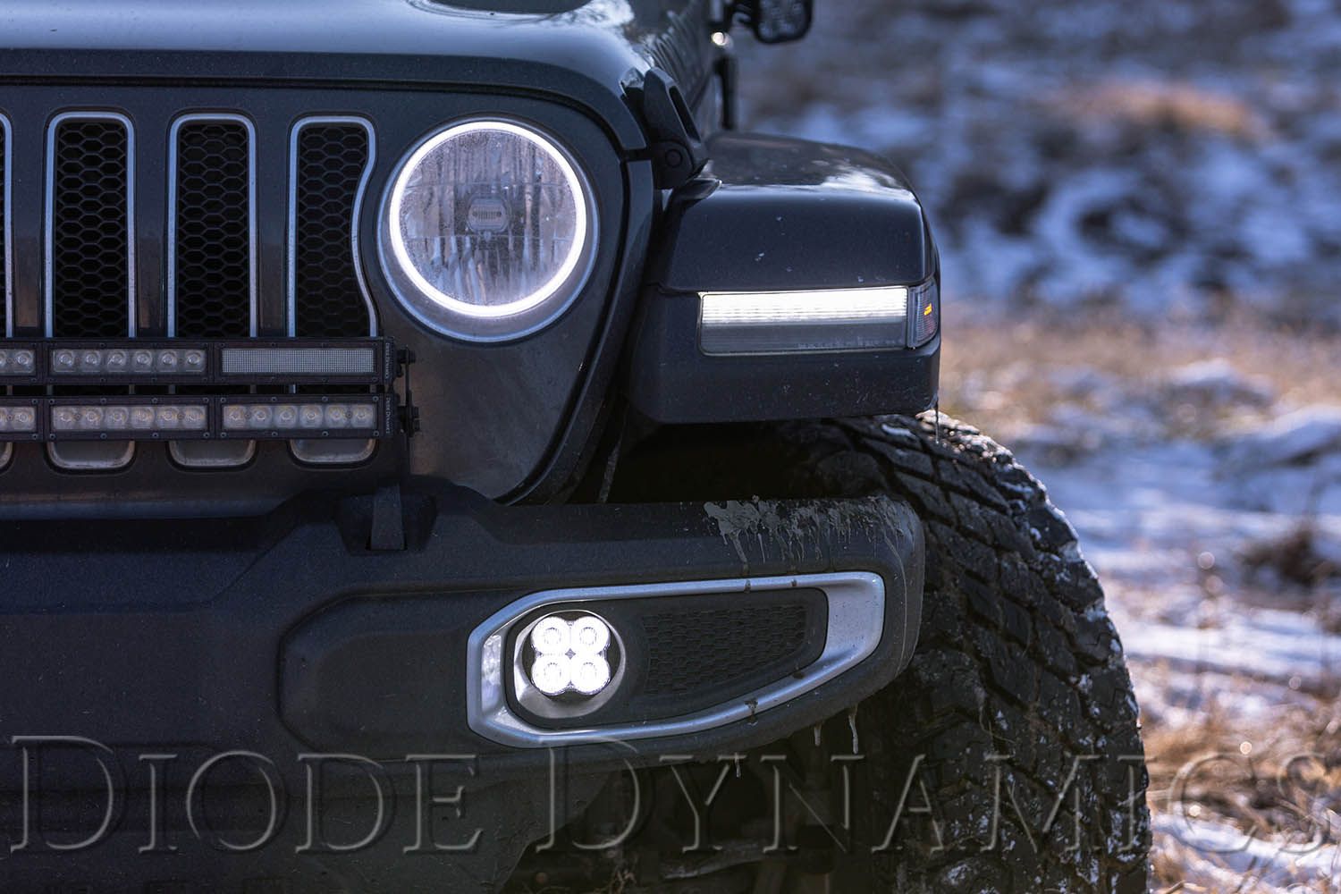 Diode Dynamics SS3 Stage Series Fog Lights Type M Crux Motorsports
